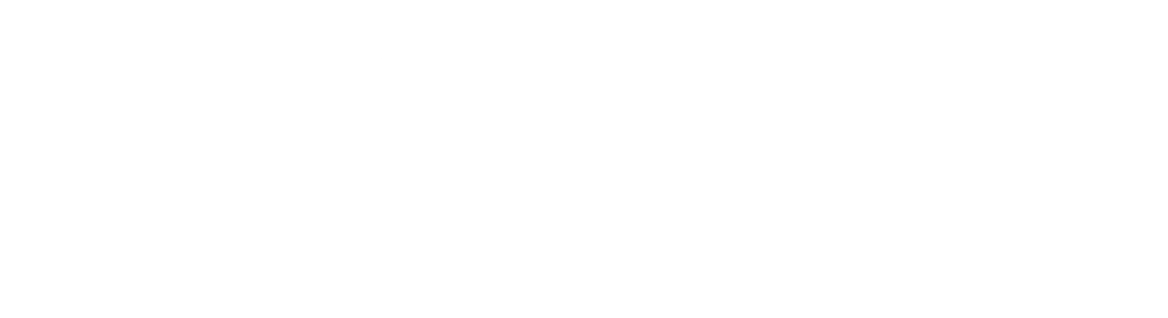 Компания Хеншен ТТ - официальный представитель  немецких брендов alca и HEYNER в России представляет ЛУЧШИЕ ЦЕНЫ К ФЕВРАЛЬСКИМ ПРАЗДНИКАМ  на популярные автоаксессуары из Германии.